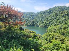 -鼎湖山风景区