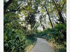 -成都市活水公园