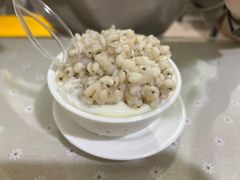 -老周记顺德双皮奶