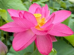 -龚家花园农家乐休闲别墅