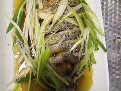 -成都阿姨到家月嫂育儿嫂(华西店)