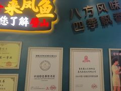 -新概念来凤鱼(璧山店)