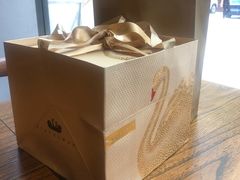 -BLACKSWAN黑天鹅(环球店)