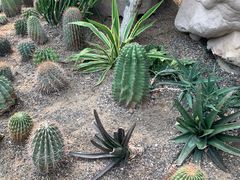 -北京植物园-展览温室