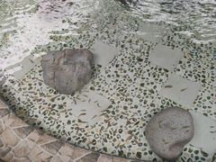 -雅安楠水阁温泉酒店