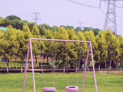 -紫颐香薰山谷景区