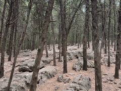 -云龙山
