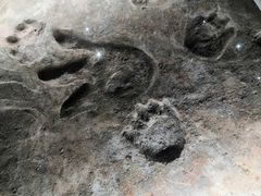 -湖南省地质博物馆