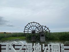 -宁波杭州湾国家湿地公园