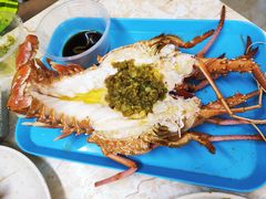 蒜蓉蒸波士顿龙虾-强记龙虾钳(定安里店)