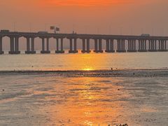 -宝安西湾红树林湿地公园