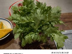 -袁山山重庆火锅(丈八北路店)