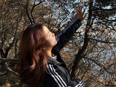 -终南山南五台景区