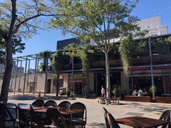 -布里斯班南岸公园