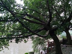 -成都市活水公园