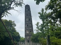 -上海佘山国家森林公园天马山园