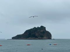 -棒棰岛宾馆景区