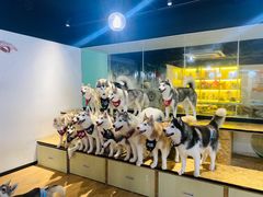 -Husky Go! 哈士奇体验馆·宠物咖啡厅狗咖