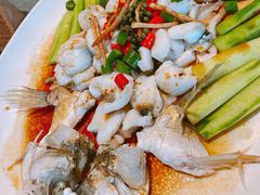 花椒蒸海鲈-猪肉婆私房菜(容桂总店)