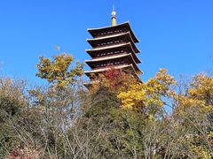 -牛首山文化旅游区