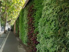 -小蛮椒麻辣烫·麻辣拌(青浦宝龙店)