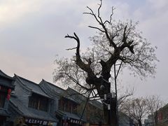 -青州古城