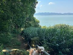 -东山风景区(洞庭东山)