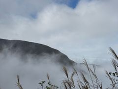 -东白山