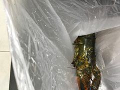 -盒马鲜生(宝地店)