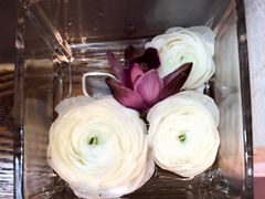 -茹·pure vegan(博华广场店)
