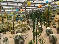 -南宫五洲植物乐园