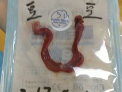 -芭比堂动物医院·犬猫全科·异宠专科(雁塔分院)