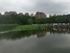 -前关湿地公园