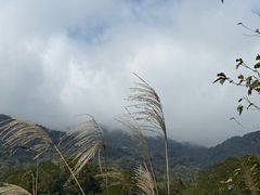-海南热带雨林国家公园吊罗山景区