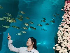 -福州罗源湾海洋世界旅游区