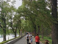 -长春市南湖公园