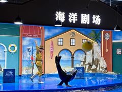 -重庆欢乐海底世界