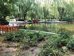 -玲珑塔公园