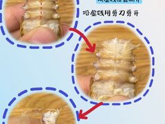 -沃尔玛(摩尔广场店)