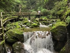 -牛背梁国家森林公园