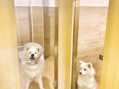 -Double Rui宠物酒店
