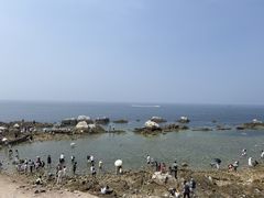 -养马岛旅游度假区