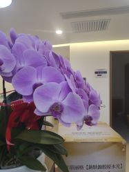 -丰联丽格医疗美容·联合丽格眼整形中心