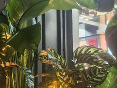 -拉蒂娜·巴西牛排馆 Latina·Brazilian Steakhouse(王府井喜悦店)