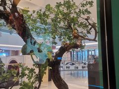 -蛙小侠(五象万象汇店)