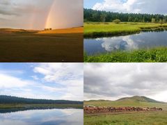 -塞罕坝国家级自然保护区