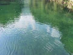 -石台牯牛降景区