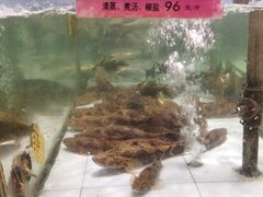 -百鱼庄(仙葫店)