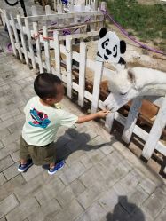 -上美四季动物农场