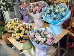 -溪岸路花鸟市场